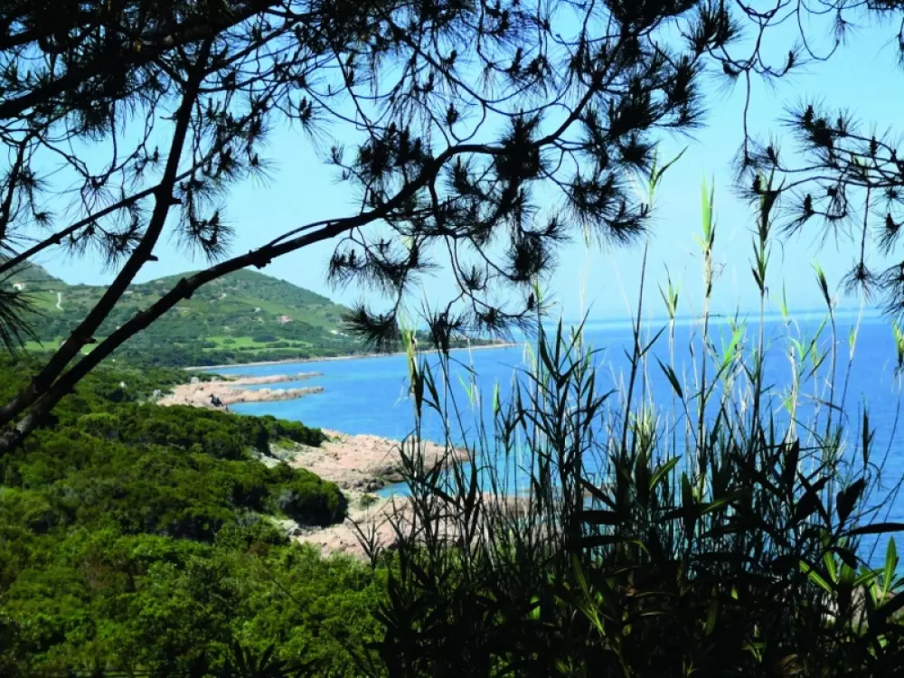 Camping Via Romana  3 étoiles★★★