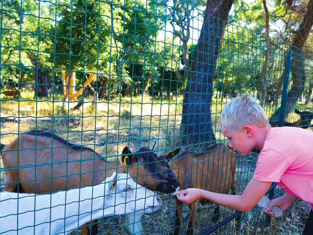 Camping Via Romana  3 étoiles★★★