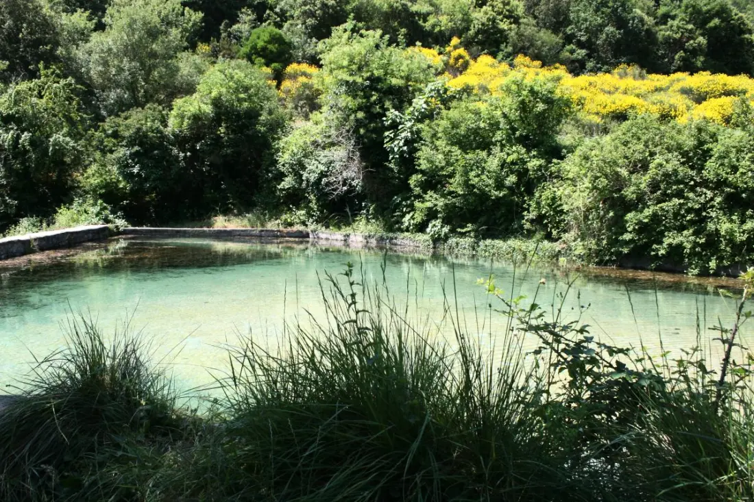 Gîte de France à Quintillan  1
