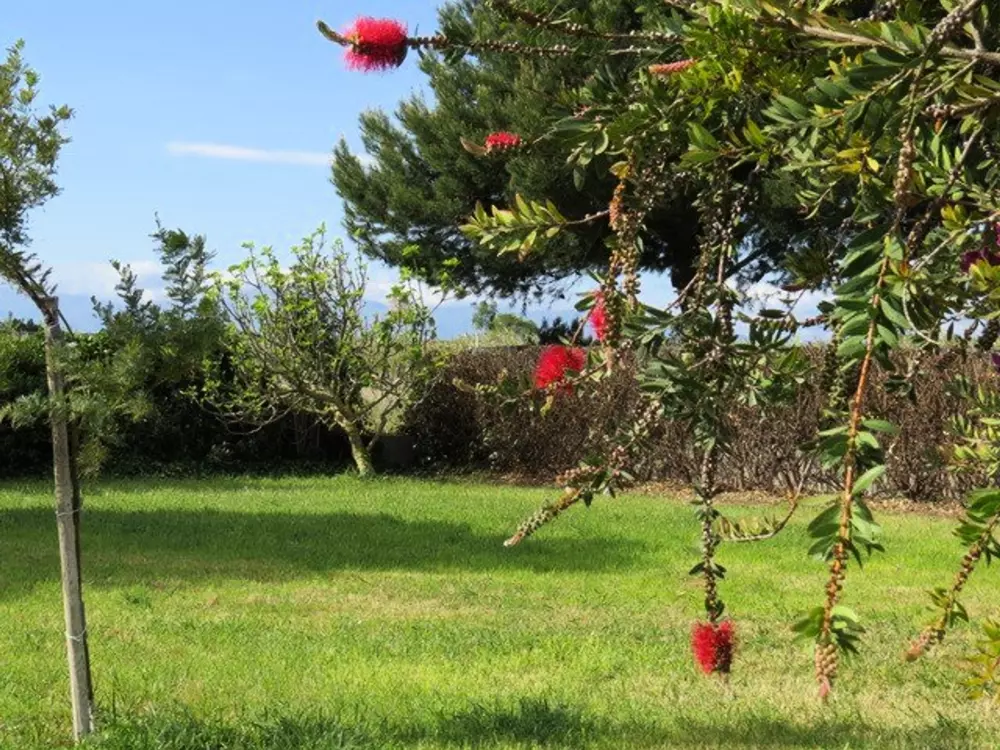 Maison de Vacances Saint-Laurent-de-la-Salanque 4