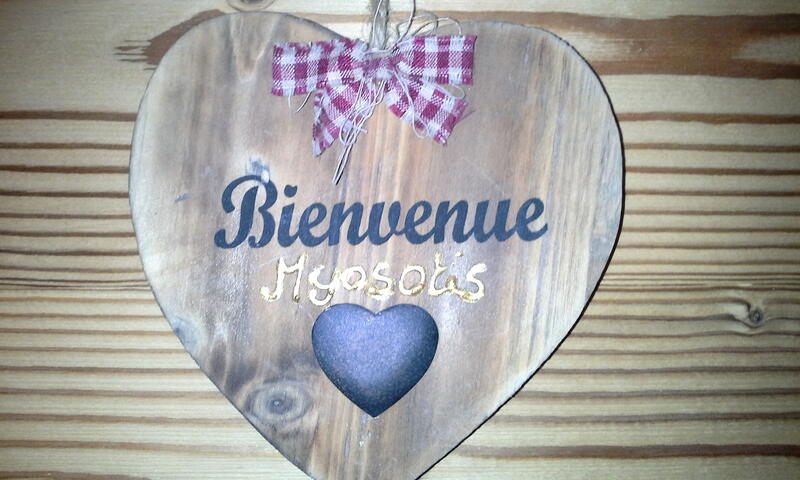 Chalet Les Ancolies - Valloire - SKI - 41