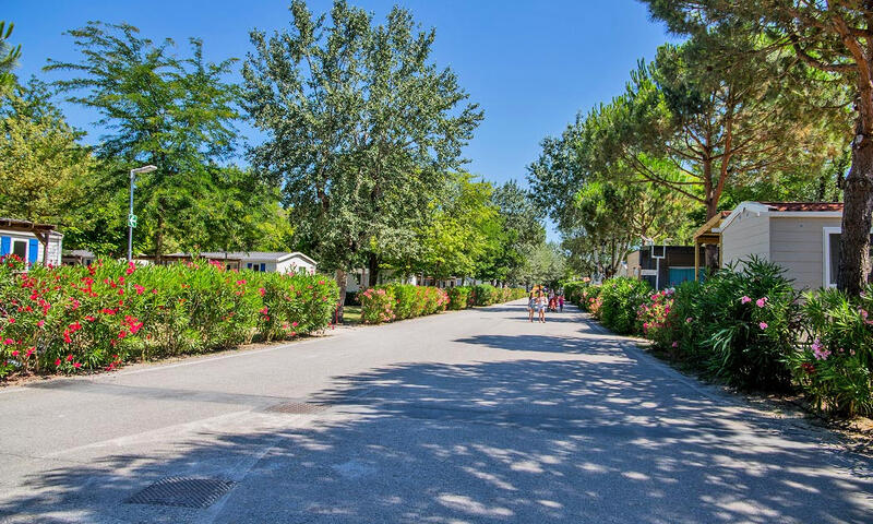 Camping Marina Family Village - Punta Marina Terme - 14