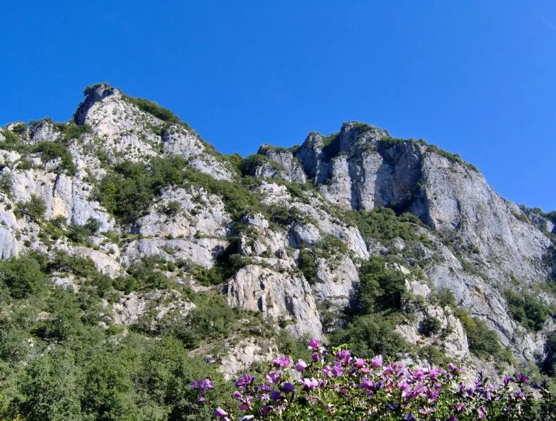 Camping écovillage SOLEIL DU PIBESTE 4 étoiles★★★★