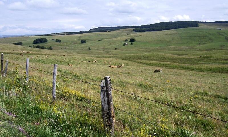 Gîte de France Gîtes de france 11 personnes au teil 3 épis - - Albaret-le-Comtal - 24