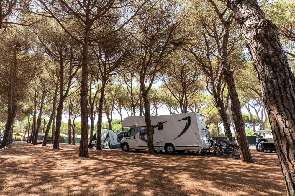 Club del Sole Orbetello Family Collection 3 étoiles★★★