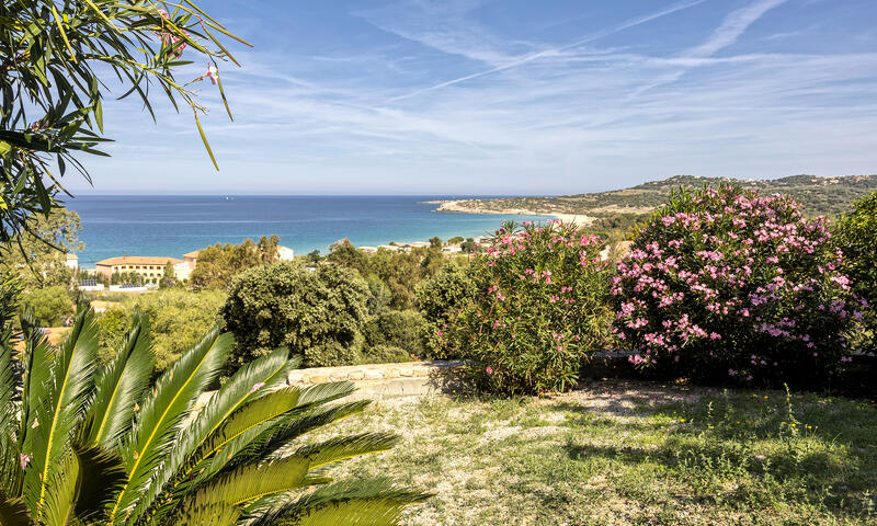 Appartements à Algajola - Corse - - Algajola - Corse - 20