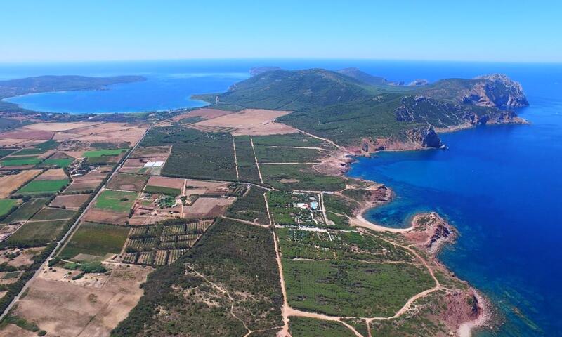 Camping Village Glamping Torre del Porticciolo **** - Alghero - 7