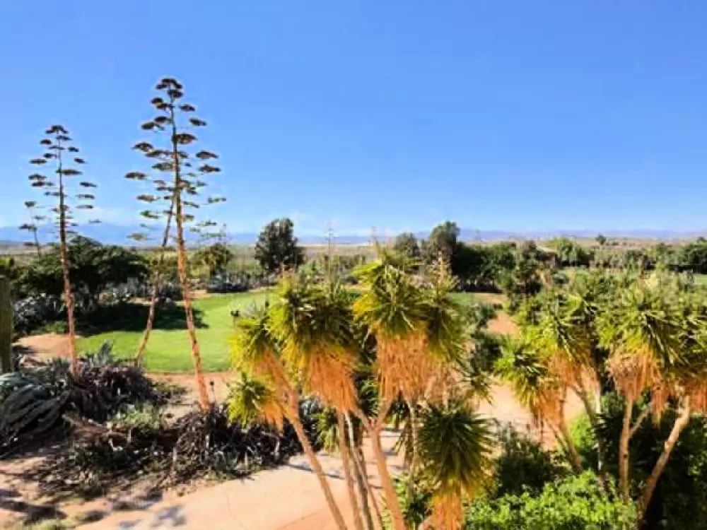 Casa La Estrella Desert Springs Club de Golf