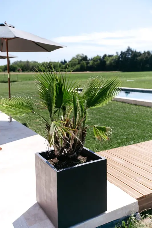La Maison De Marcel - Piscine Privée