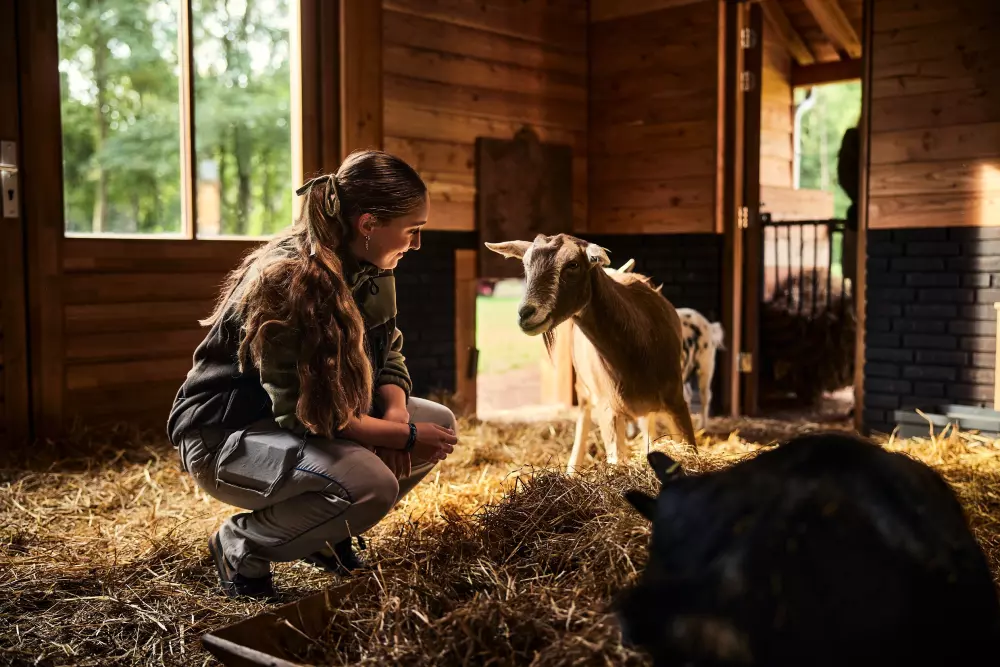 Domaine Het Meerdal Center Parcs