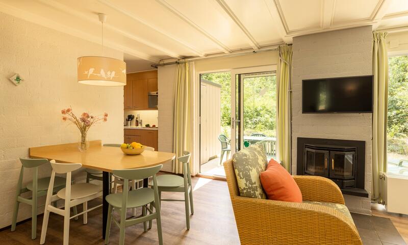 Domaine Limburgse Peel Center Parcs - America - 37