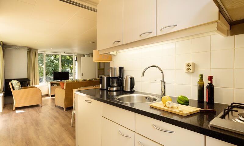 Domaine Limburgse Peel Center Parcs - America - 47
