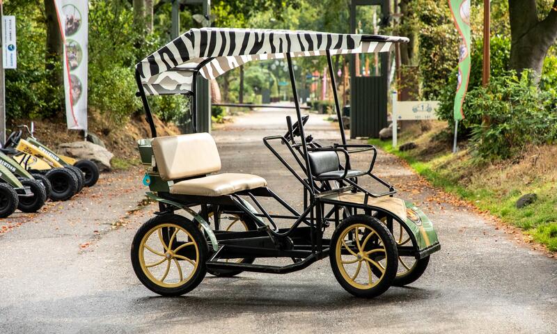 Domaine Limburgse Peel Center Parcs - America - 17