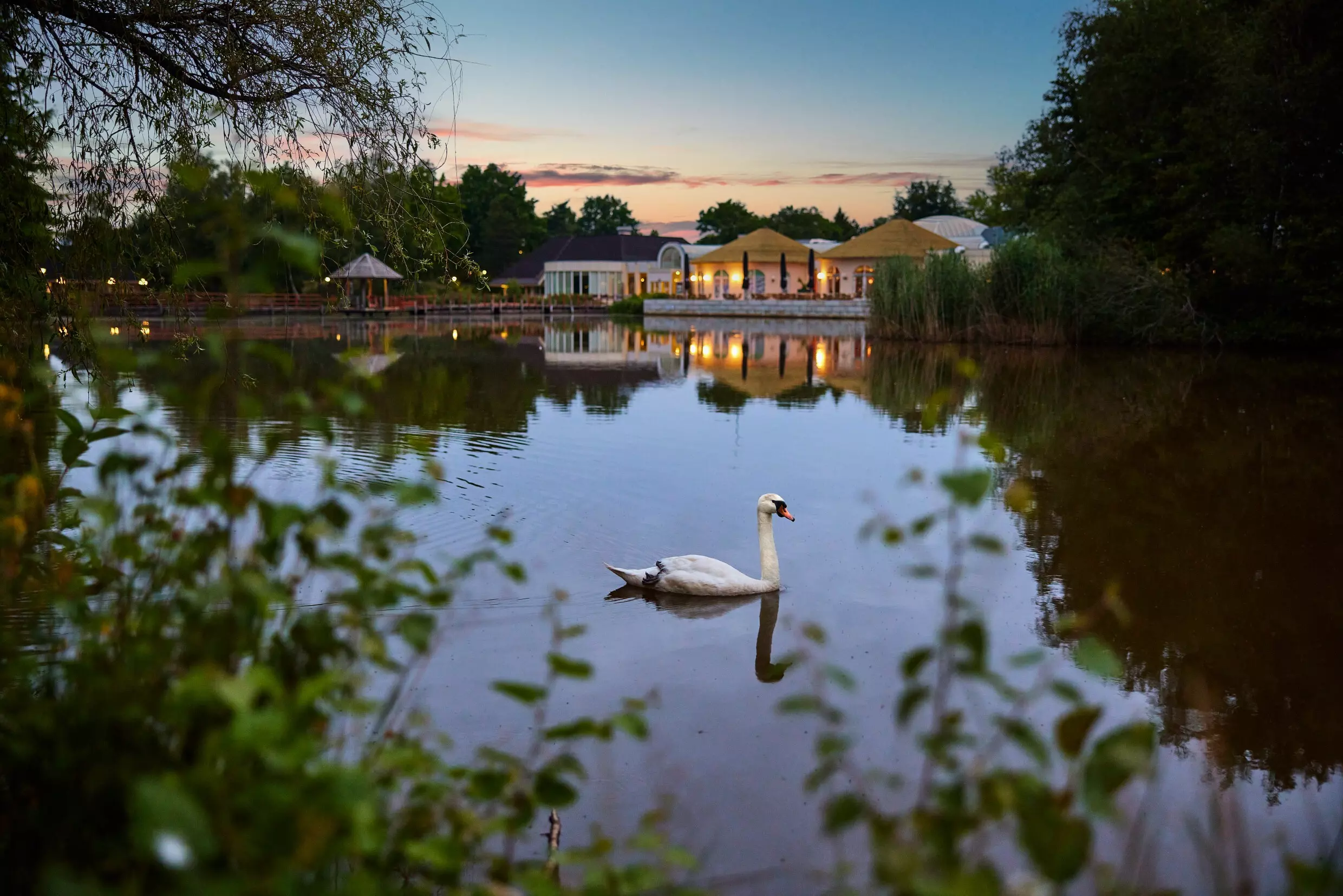 Domaine Limburgse Peel Center Parcs - America