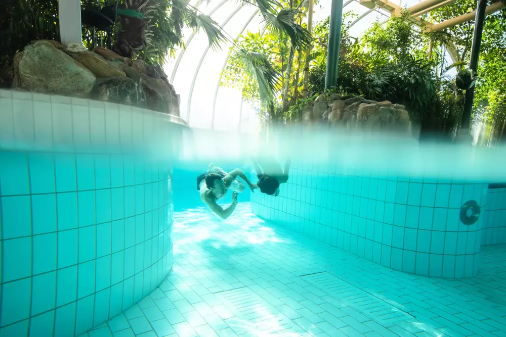 Domaine Limburgse Peel Center Parcs