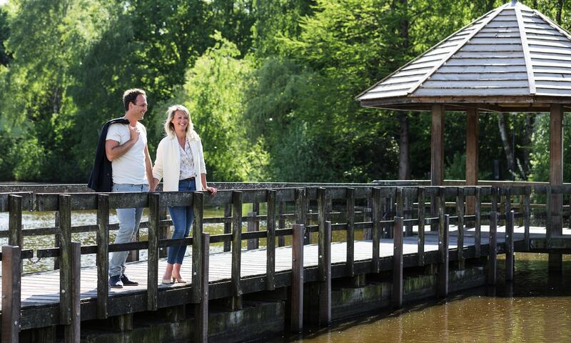 Domaine Limburgse Peel Center Parcs - America - 16