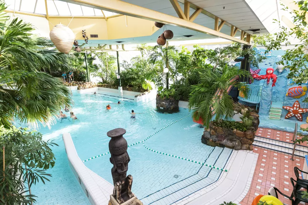 Domaine Limburgse Peel Center Parcs