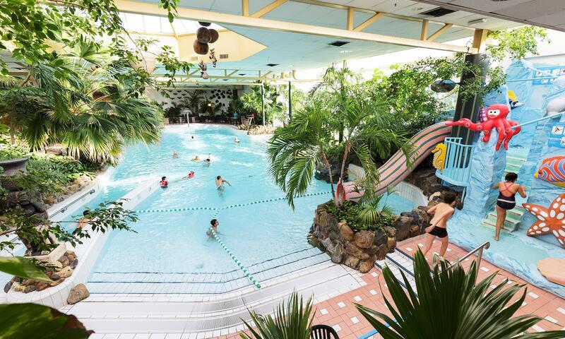 Domaine Limburgse Peel Center Parcs - 4