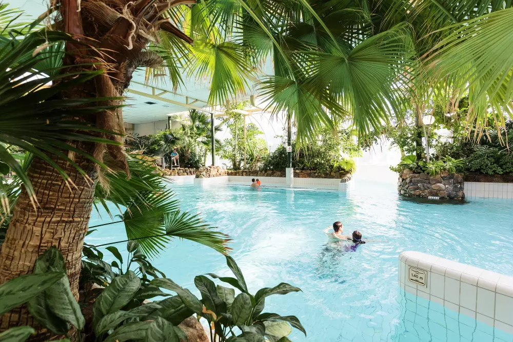 Domaine Limburgse Peel Center Parcs