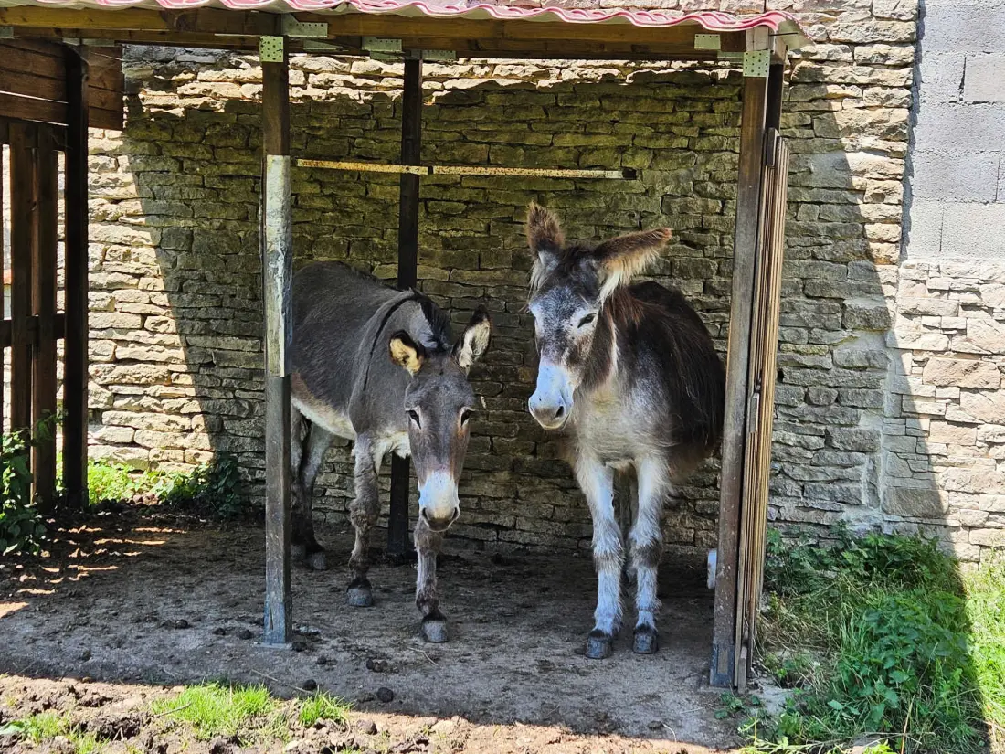 Gîte de France Les cèdres 3 épis