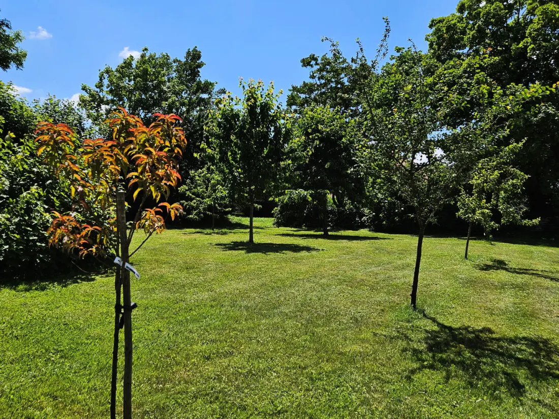 Gîte de France Les cèdres 3 épis