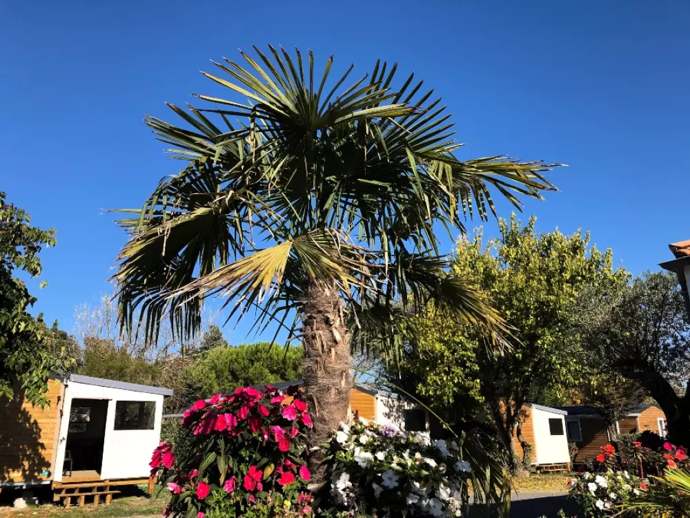 Camping Paradis à la Corniche5 étoiles★★★★★