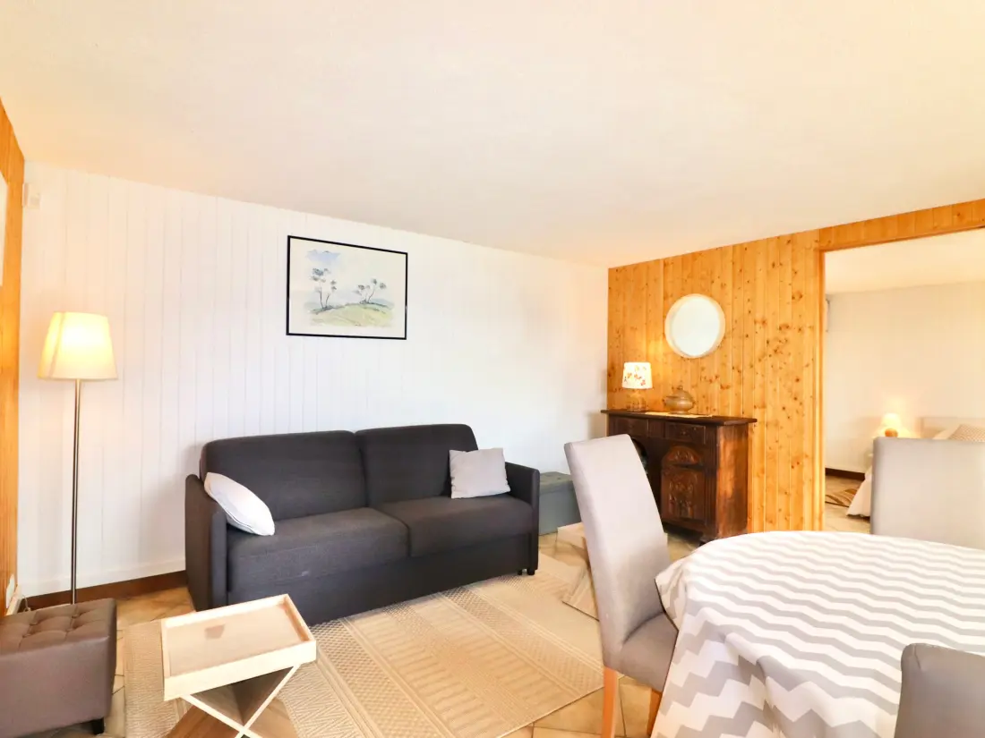 Location de Vacances Annecy 21