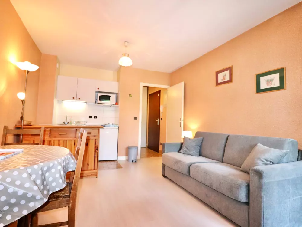 Location de Vacances Annecy 32