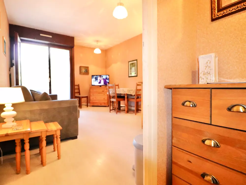 Location de Vacances Annecy 32