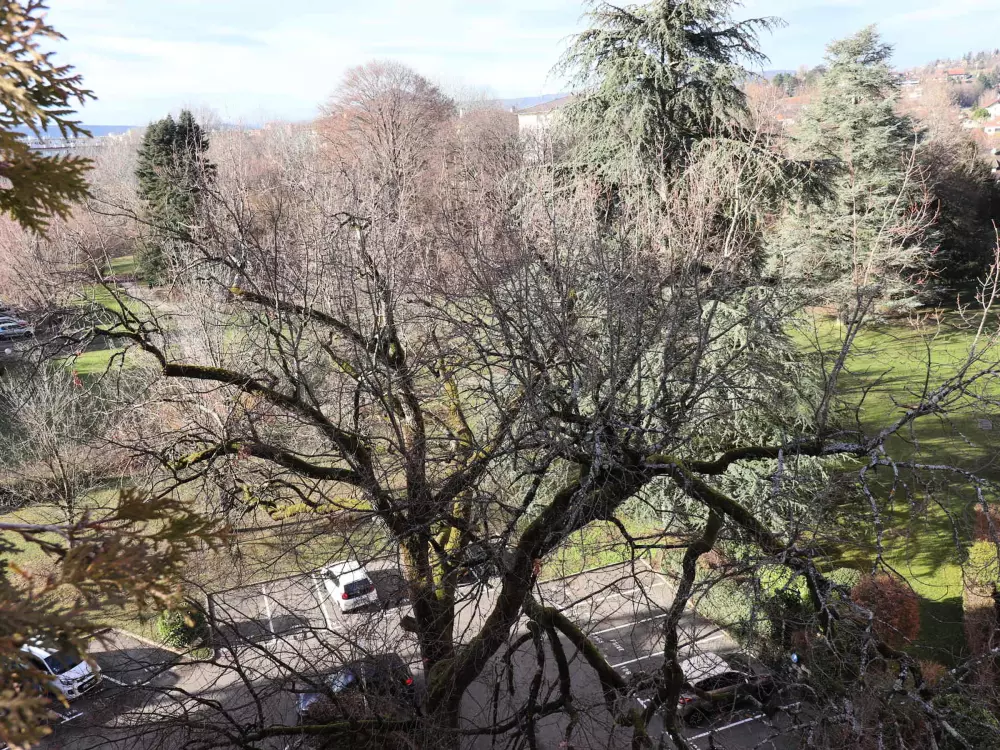 Location de Vacances Annecy 59