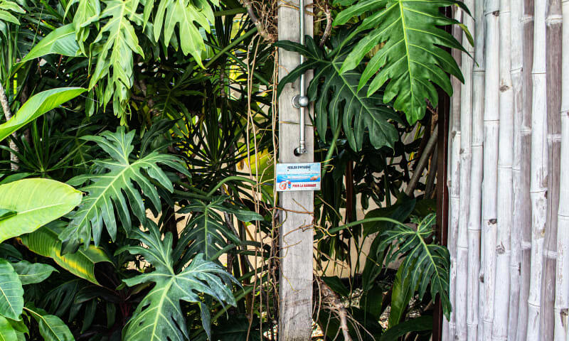 Villa Catalunya - - Anse Bertrand - 7