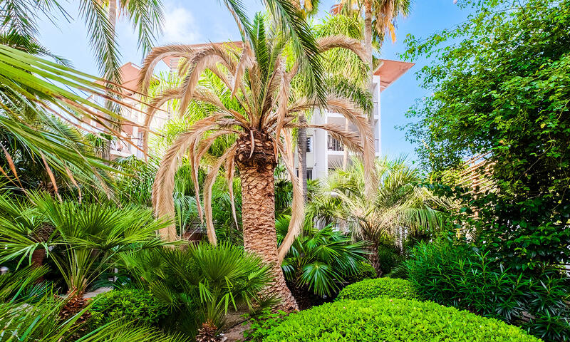 Résidence Pierre & Vacances Premium Port-Prestige **** - Antibes - 3