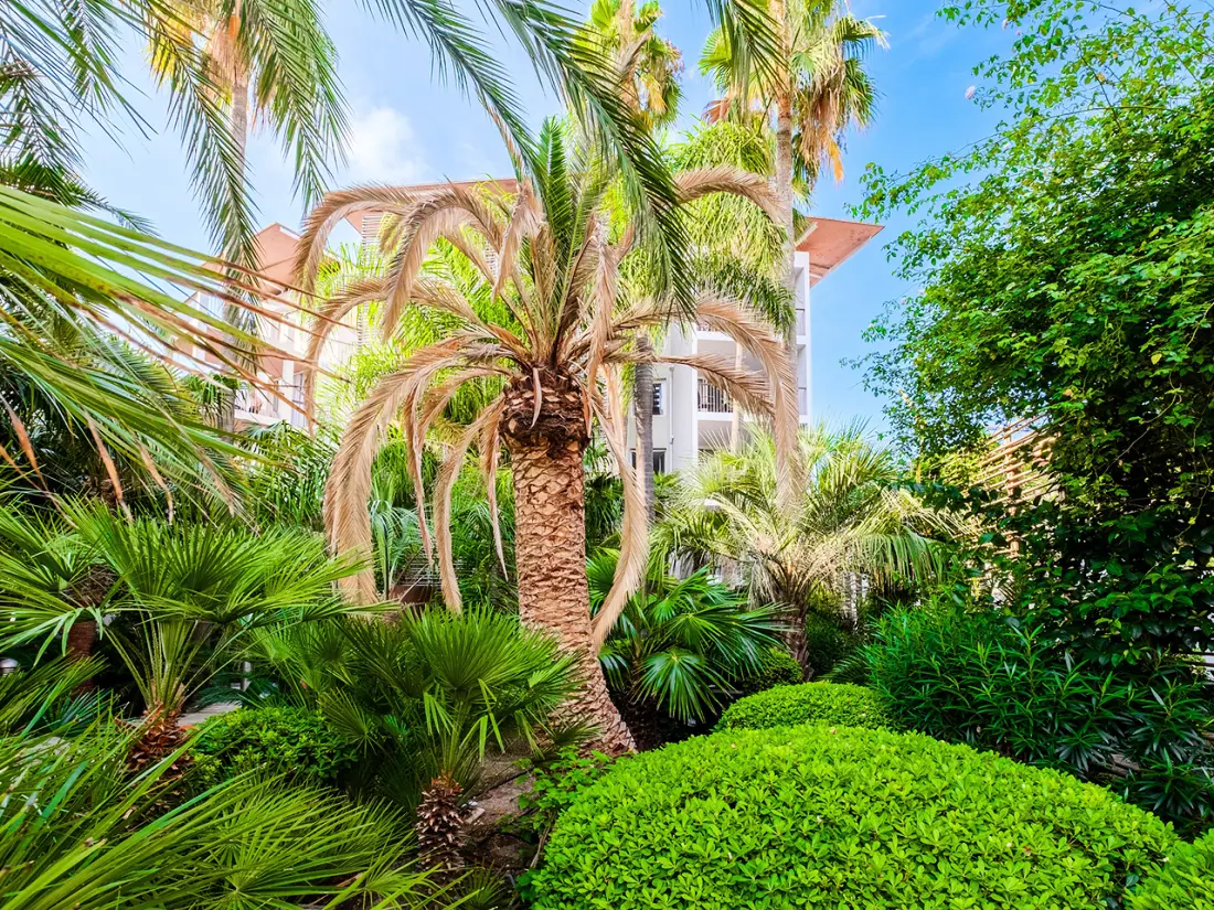 Résidence Pierre & Vacances Premium Port-Prestige 4 étoiles★★★★