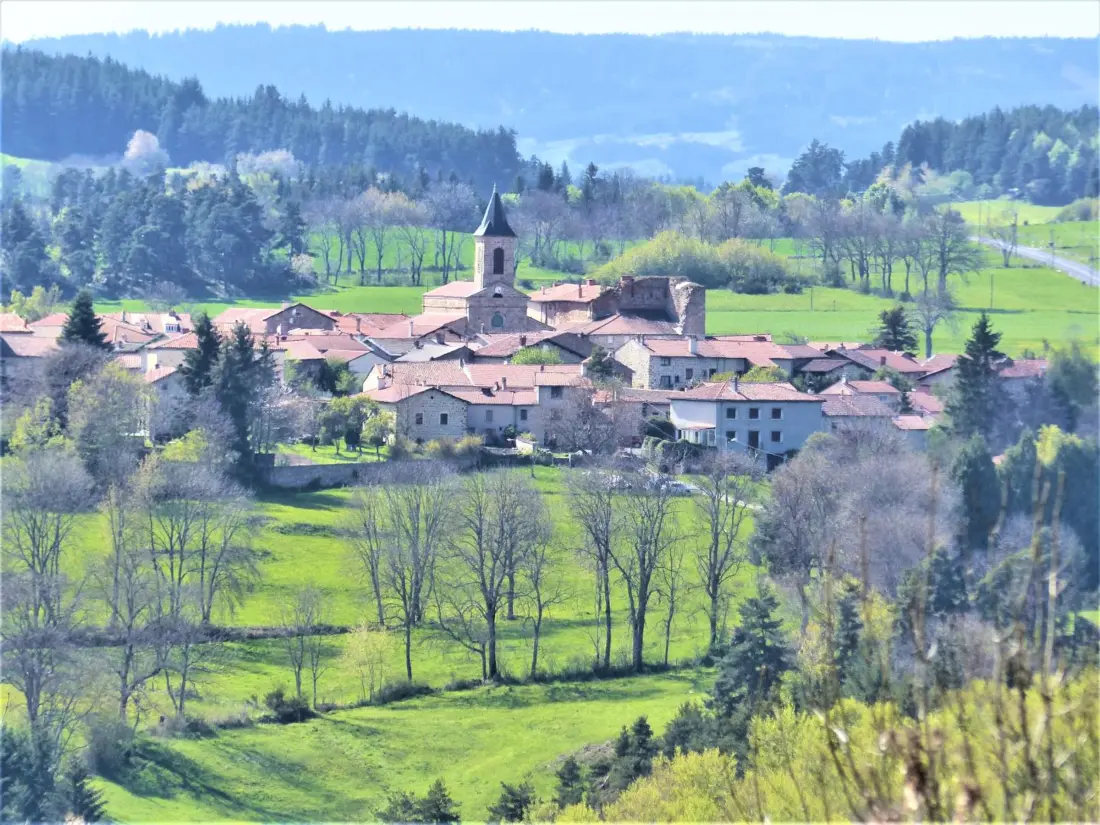 Maison de Vacances APINAC