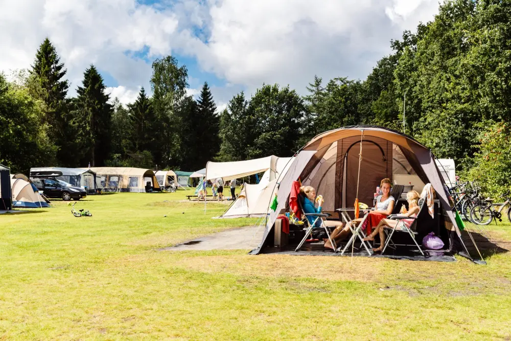 RCN Vakantiepark de Roggeberg 4 étoiles★★★★