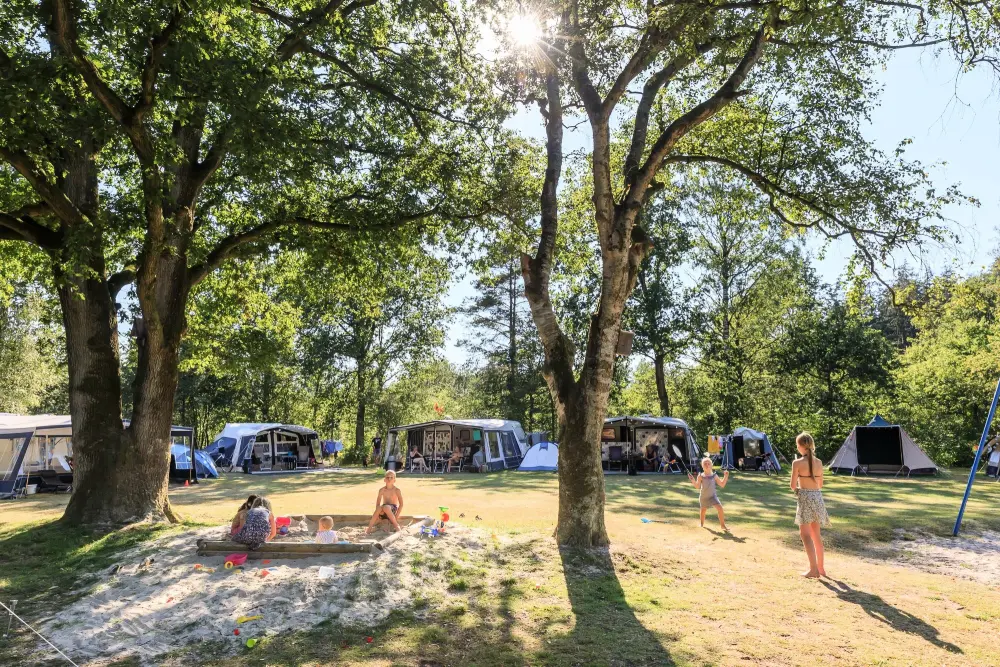 RCN Vakantiepark de Roggeberg 4 étoiles★★★★