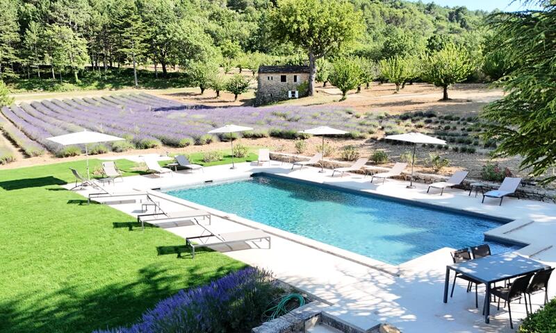 Bastide De L'esclat - Piscine - Champs De Lavandes - - Apt - 1