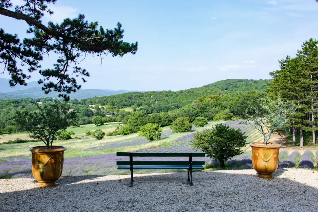 Bastide De L'esclat - Champs De Lavandes &amp; Piscine