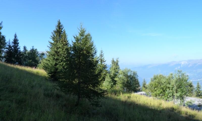 France - Alpes et Savoie - Arcs 1800 - Résidence Grand Arbois