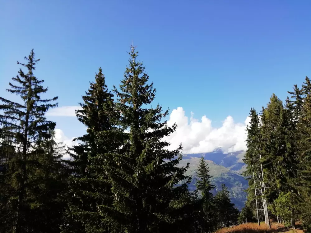 Résidence Lauzieres