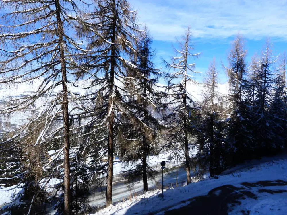 Résidence Ruitor Arc 1800