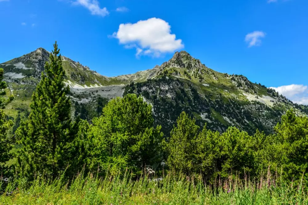 Résidence La Cime des Arcs4 étoiles★★★★ - Chalet des Neiges