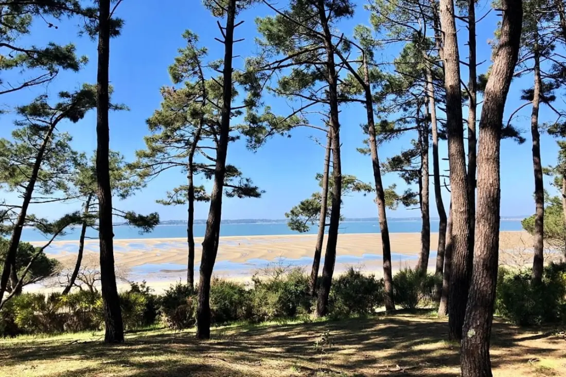 Appartement Avec Balcon Au Cœur D’arcachon