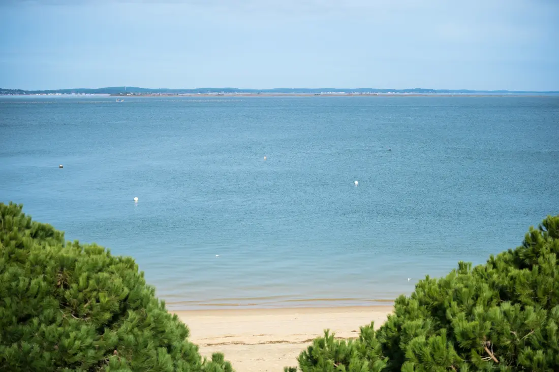 Appartements à Arcachon