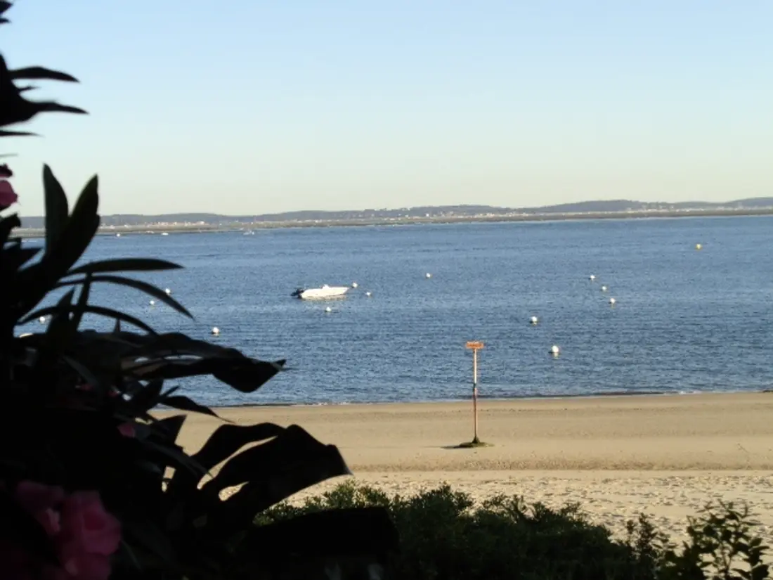 Location de Vacances Arcachon 145