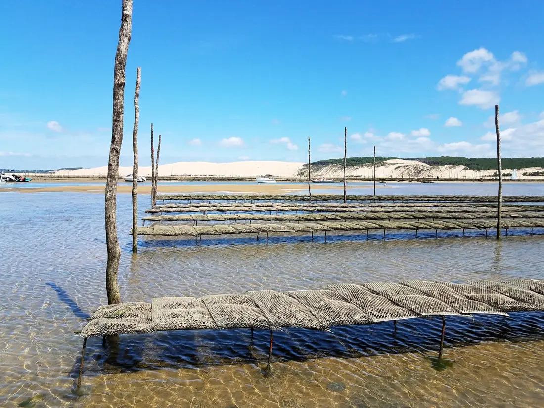 Location de Vacances Arcachon 773