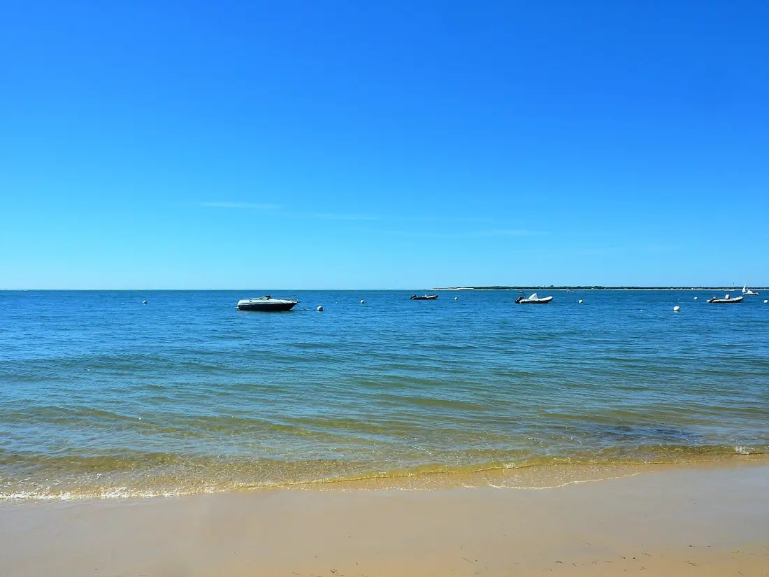 Location de Vacances Arcachon 784