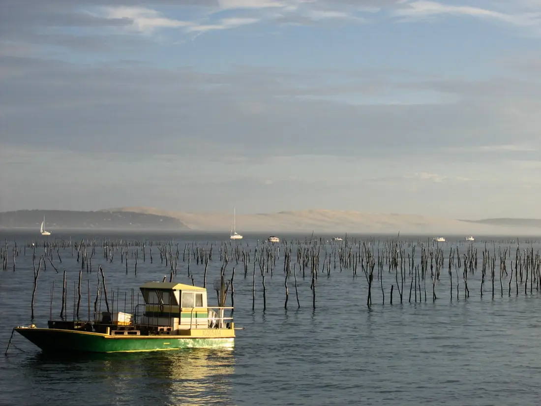 Location de Vacances Arcachon 803
