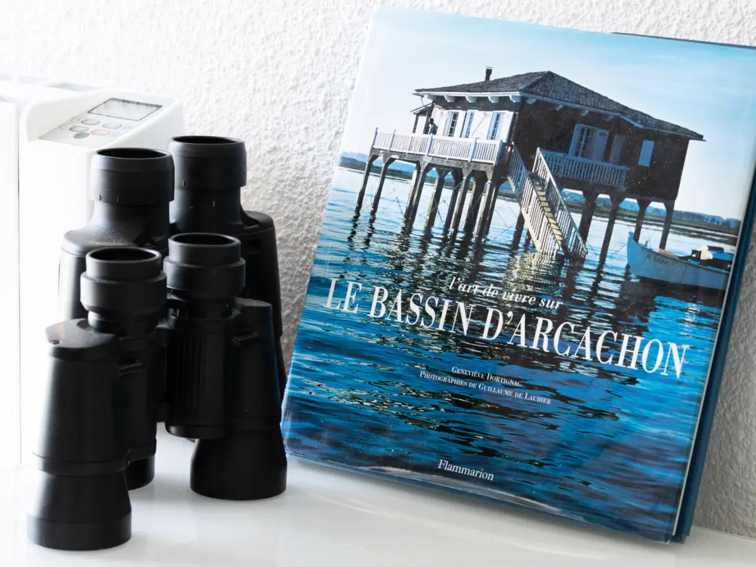 Location de Vacances Arcachon 807