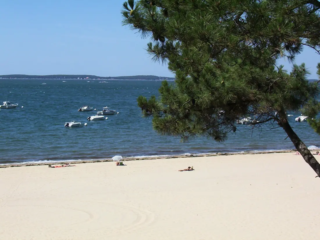 Location de Vacances Arcachon 857